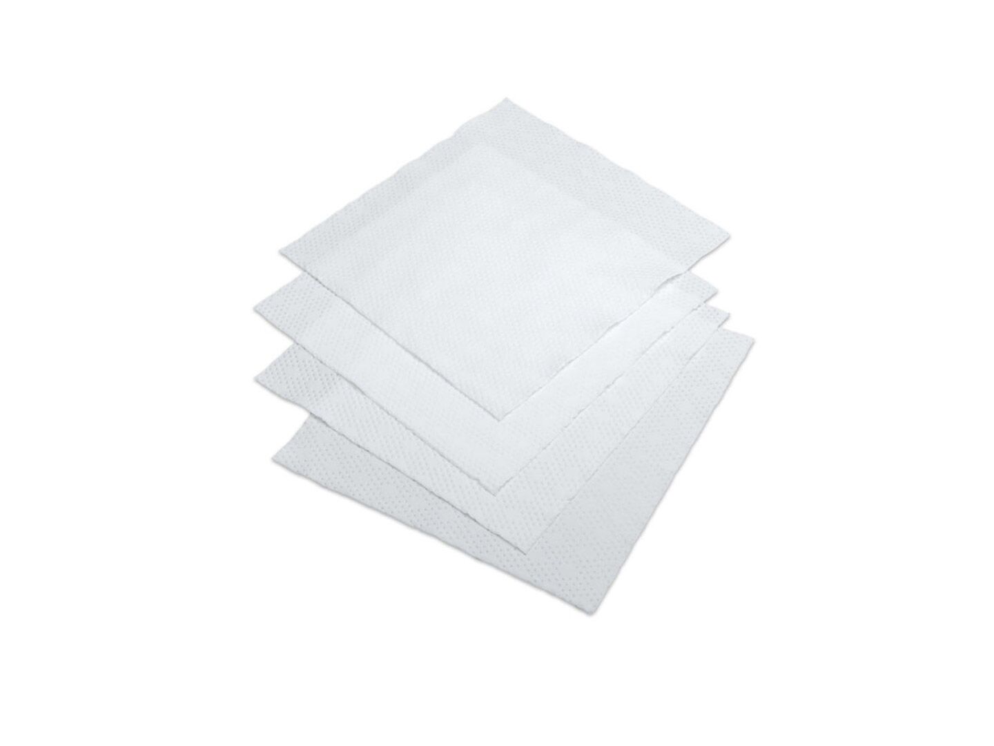 GWSSST16LE Cleanroom Wipes